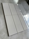 Gạch thẻ xám bóng phẳng KT 100x250x40mm FA0410P