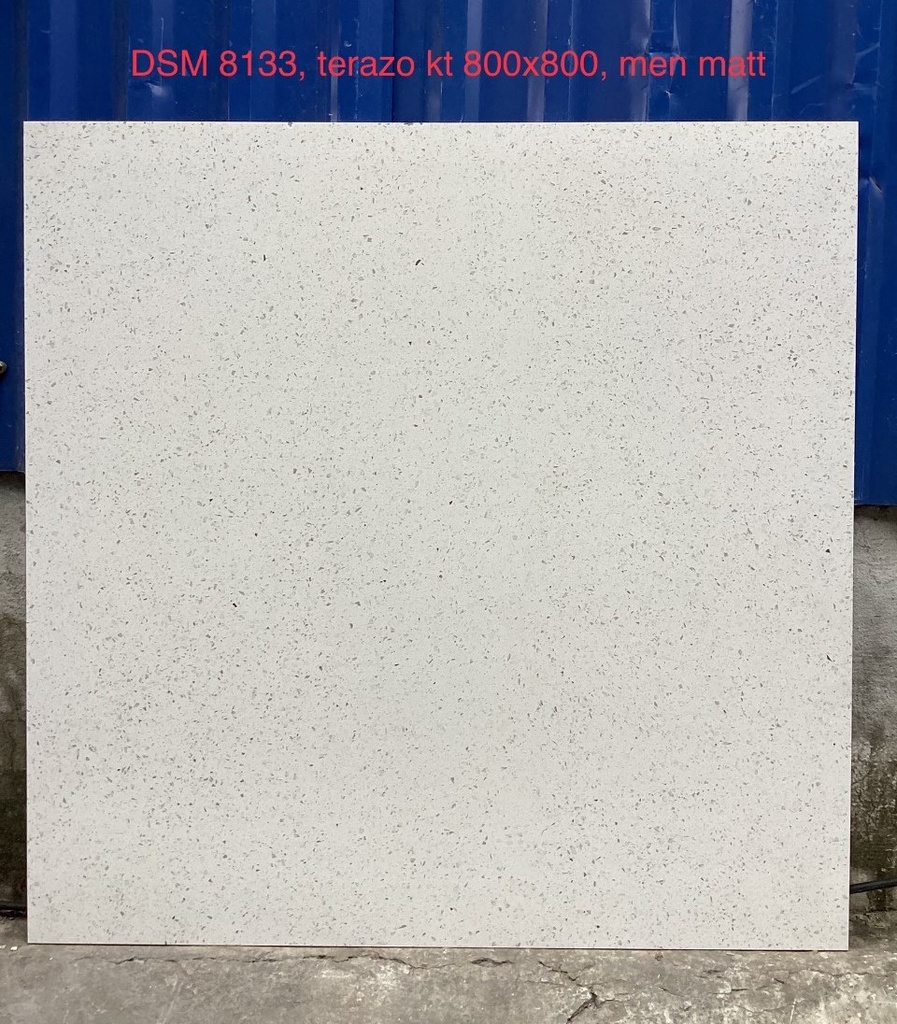 Gạch terrazzo size 800x800 mã DSM8133