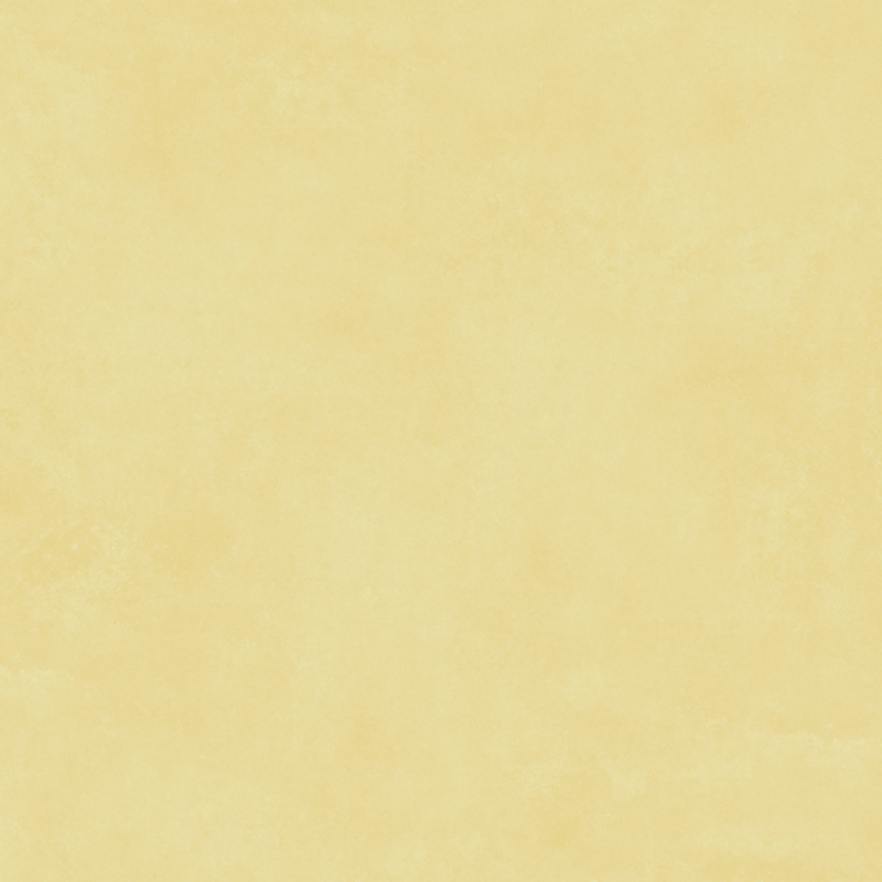 Gạch bông 300x300mm mã MF3169L (sao chép)