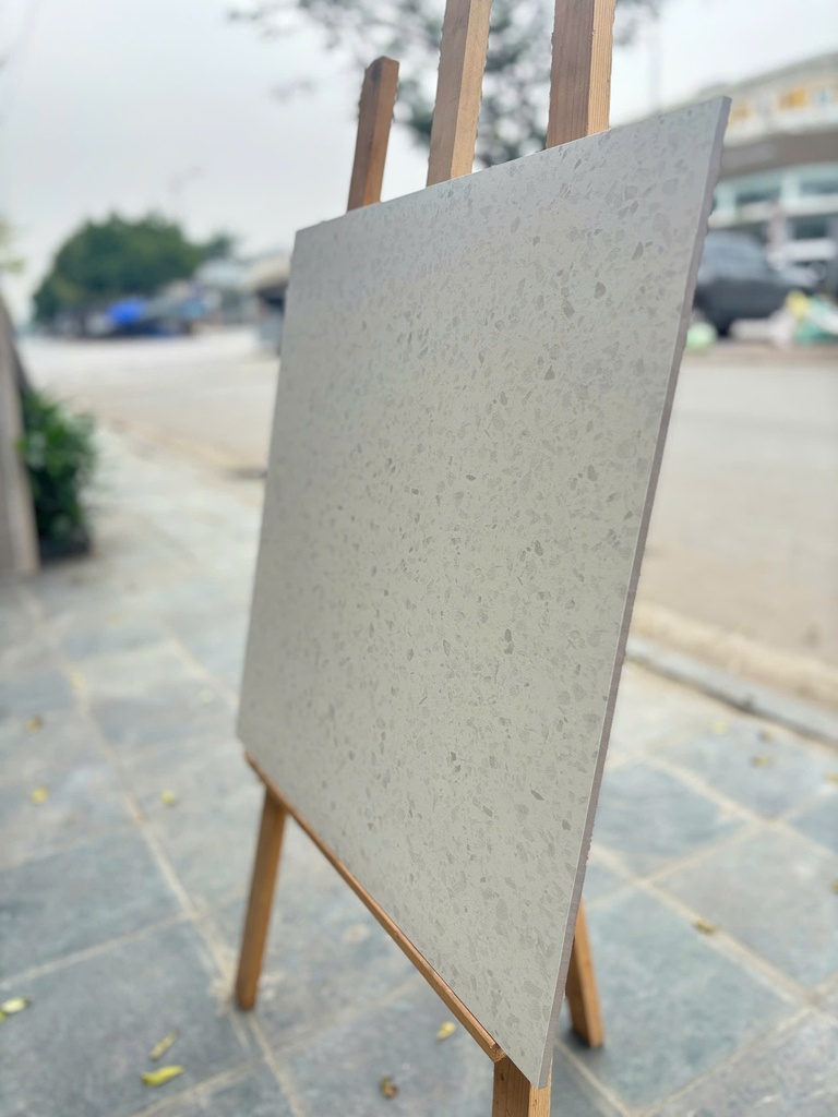 Gạch Terrazzo 600x600mm men matt AMY7685
