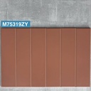Gạch thẻ cam mờ phẳng 75x300mm M75319ZY