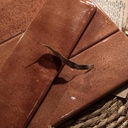 Gạch thẻ Porcelain men bóng KT 75x300 MDL7537C22