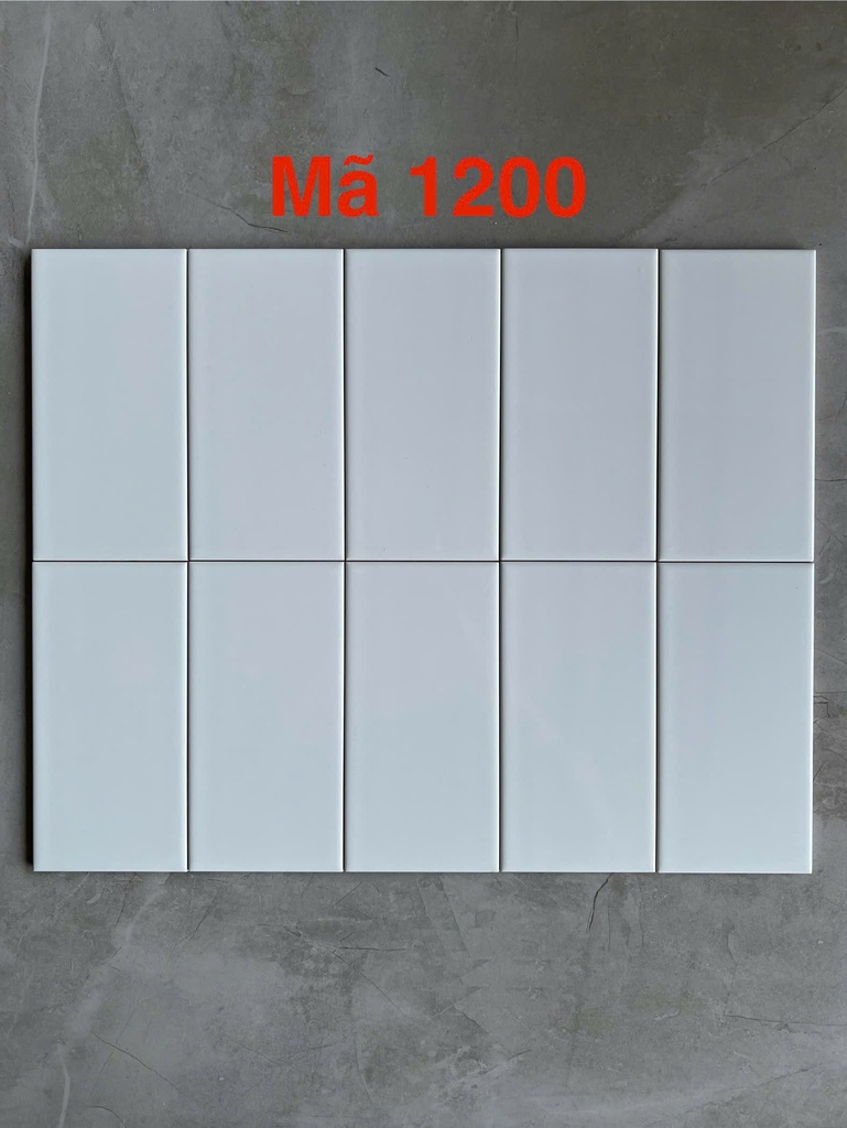 Gạch thẻ trắng bóng phẳng 100x200mm 0199-2