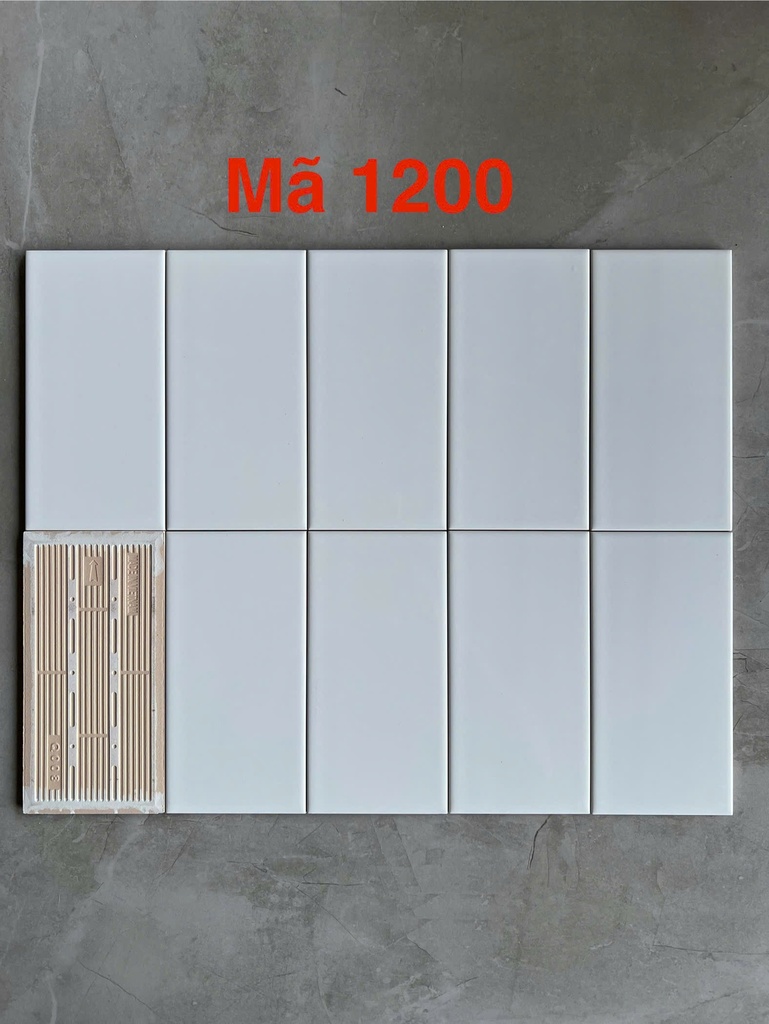 Gạch thẻ trắng bóng phẳng 100x200mm 0199-2