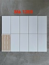 Gạch thẻ trắng bóng phẳng 100x200mm 0199-2