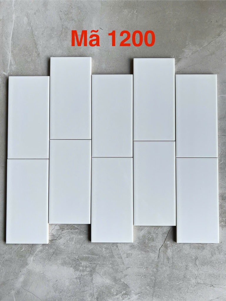 Gạch thẻ trắng bóng phẳng 100x200mm 0199-2