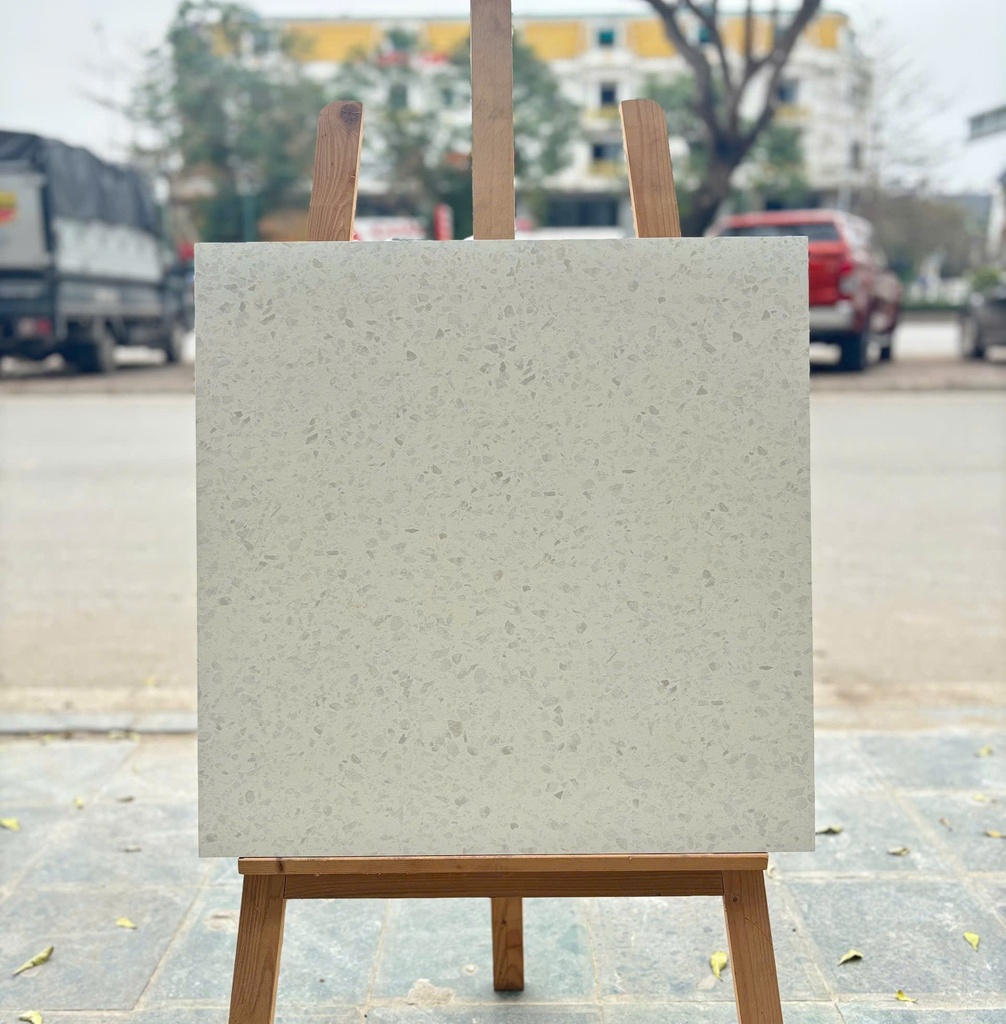 Gạch Terrazzo 600x600mm men matt AMY7685