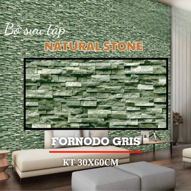 Gạch Ấn Độ ốp tường nội ngoại thất 300x600mm DS01