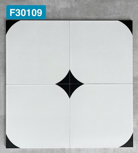 [F30109] Gạch bông 300x300 mã F30109