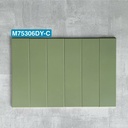Gạch thẻ xanh nhạt mờ phẳng 75x300mm M75306DY-C