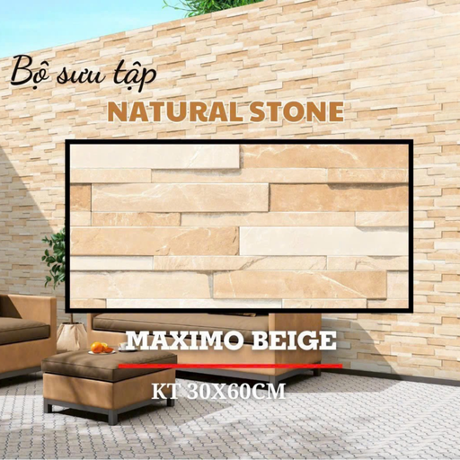 [DS04] Gạch Ấn Độ ốp tường nội ngoại thất 300x600mm DS04