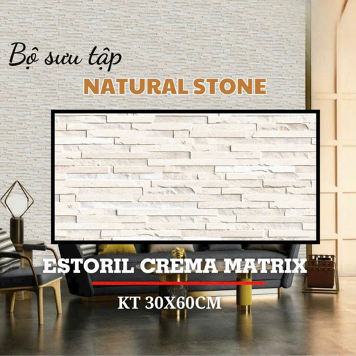 [DS03] Gạch Ấn Độ ốp tường nội ngoại thất 300x600mm DS03