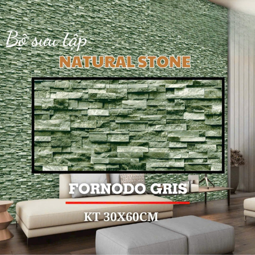 [DS01] Gạch Ấn Độ ốp tường nội ngoại thất 300x600mm DS01