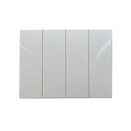 [STA1300(0200-1) (0100-1)] Gạch thẻ trắng bóng phẳng KT 100x300mm mã STA1300