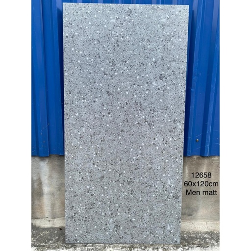 [12658] Gạch khổ lớn Terrazzo 600x1200mm 12658