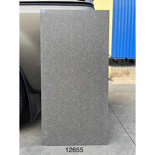 [12655] Gạch khổ lớn Terrazzo KT 600x1200mm 12655