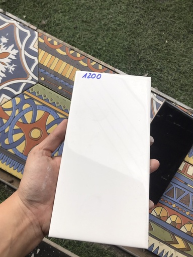 [0199-2 (M1200_SA)] Gạch thẻ Việt Nam KT 100x200mm trắng bóng phẳng loại 1 mã 0199-2