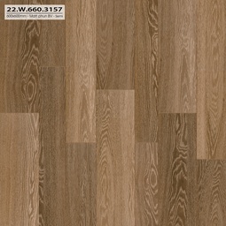 [22W660.3157] Gạch 600x600mm matt  xương đá 22W660.3157