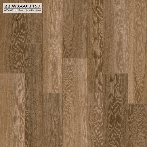 [22W660.3157] Gạch 600x600mm matt  xương đá 22W660.3157