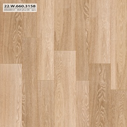 [22W660.3158] Gạch 600x600mm matt  xương đá 22W660.3158