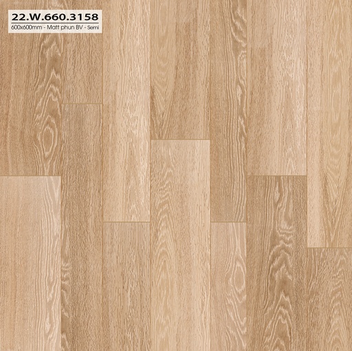 [22W660.3158] Gạch 600x600mm matt  xương đá 22W660.3158