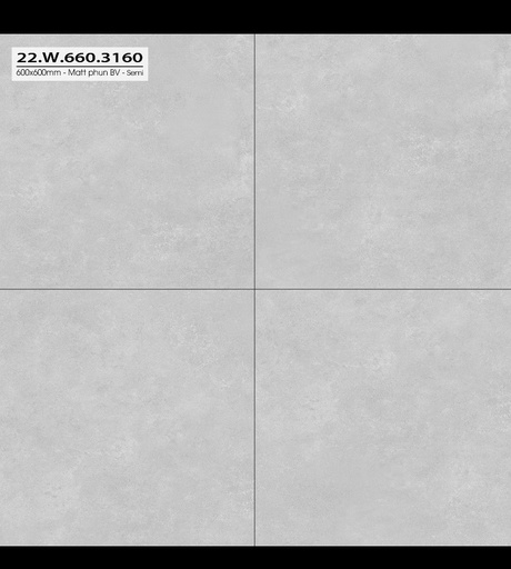 [22W660.3160] Gạch 600x600mm matt xương đá 22W660.3160