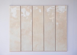 [DS75301] [DS75301] Gạch thẻ 75*300 mã DS75301