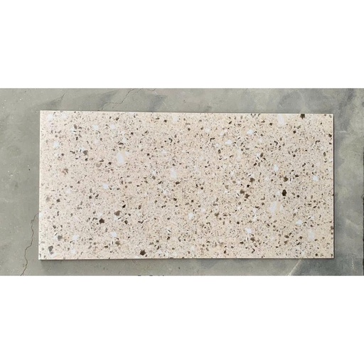 [36203] Gạch Terrazzo KT 300x600mm 36203